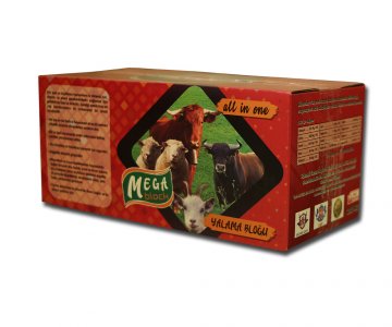 MEGA BLOCK